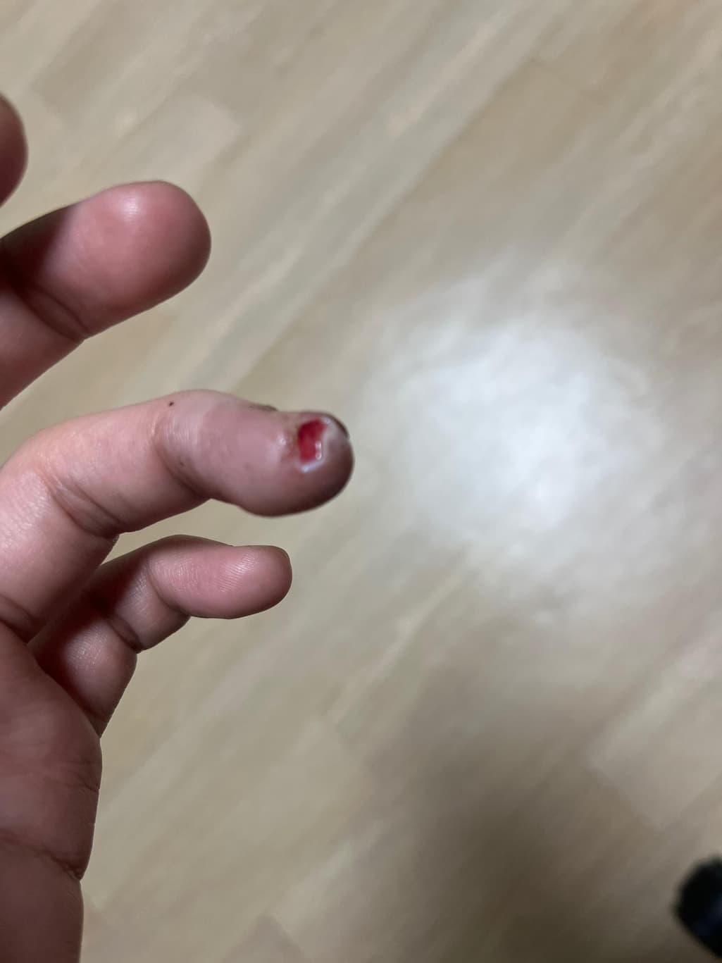 1번 째 사진