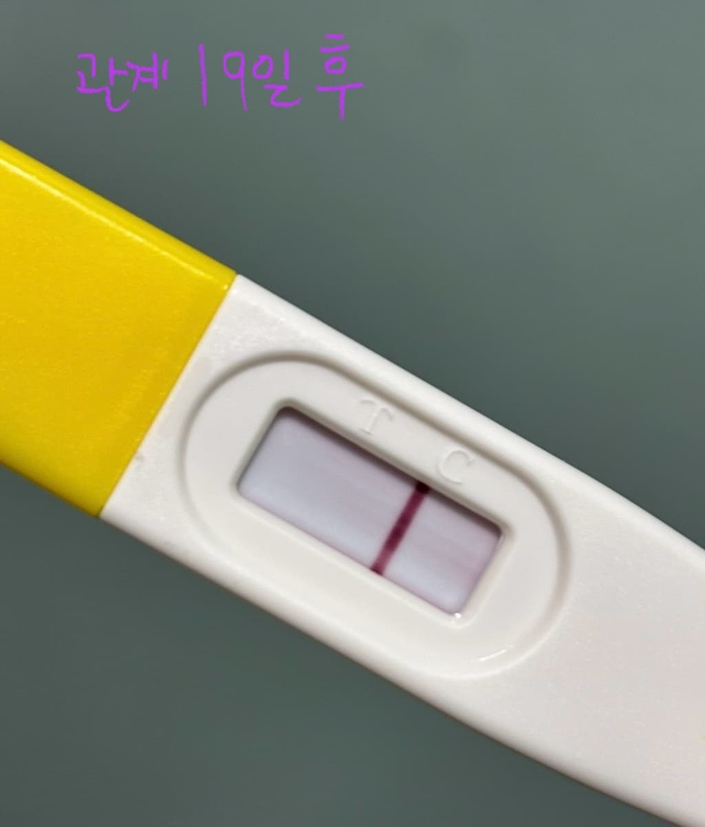 3번 째 사진