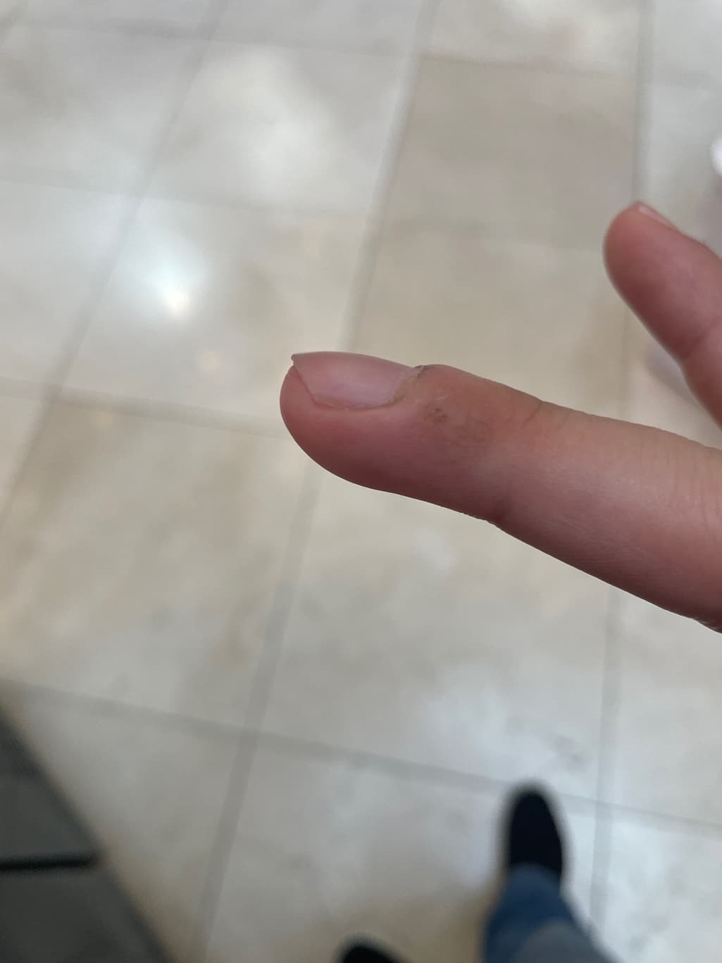 2번 째 사진