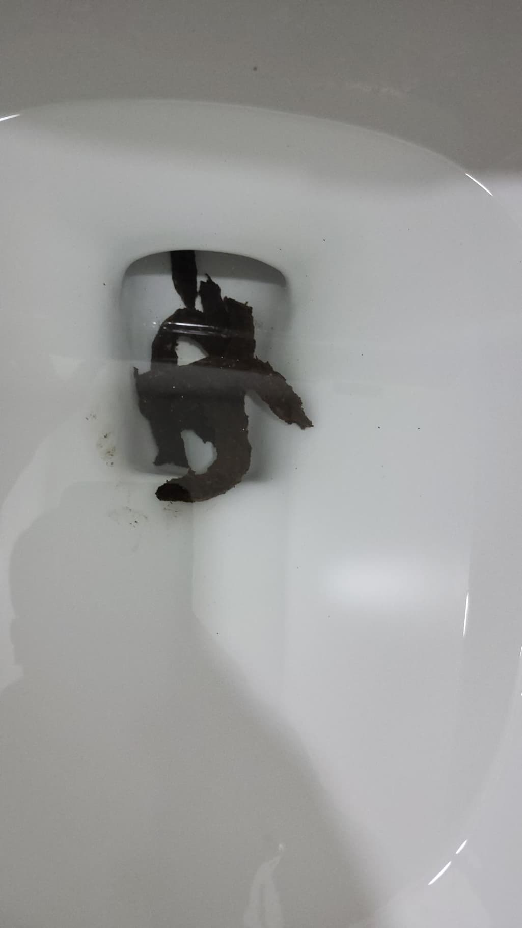 2번 째 사진