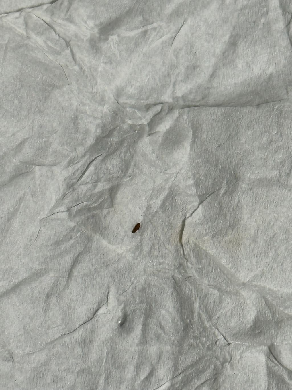 2번 째 사진
