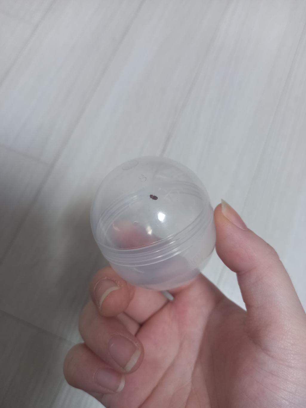 2번 째 사진