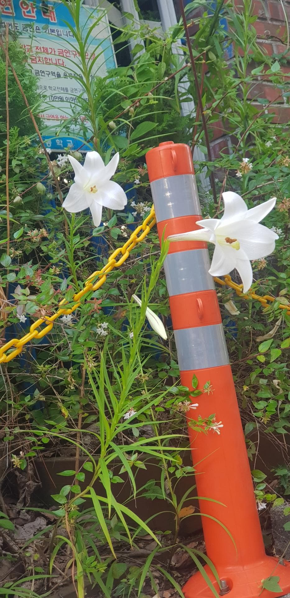 1번 째 사진
