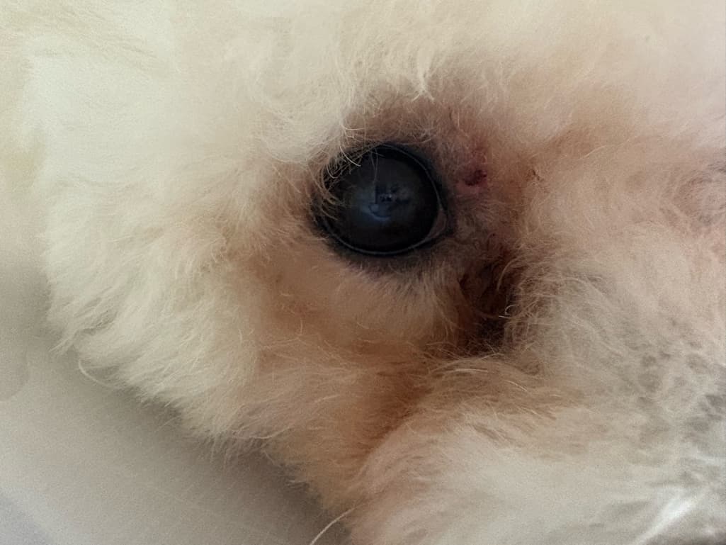3번 째 사진