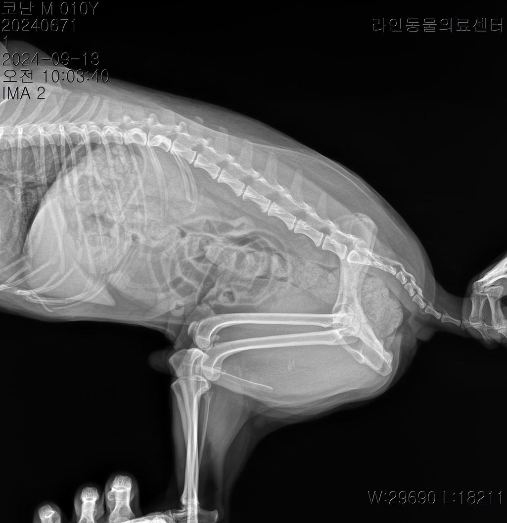 1번 째 사진