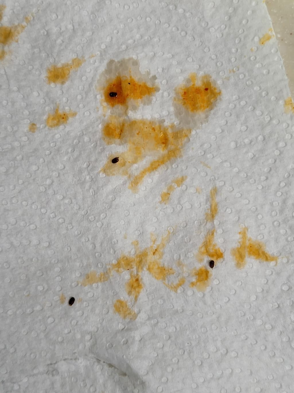 3번 째 사진