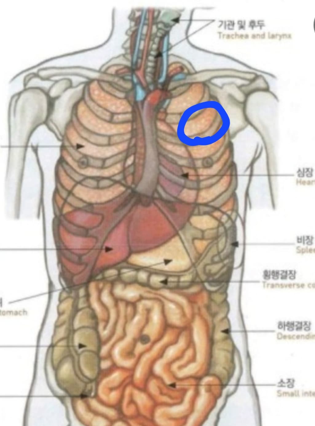 1번 째 사진