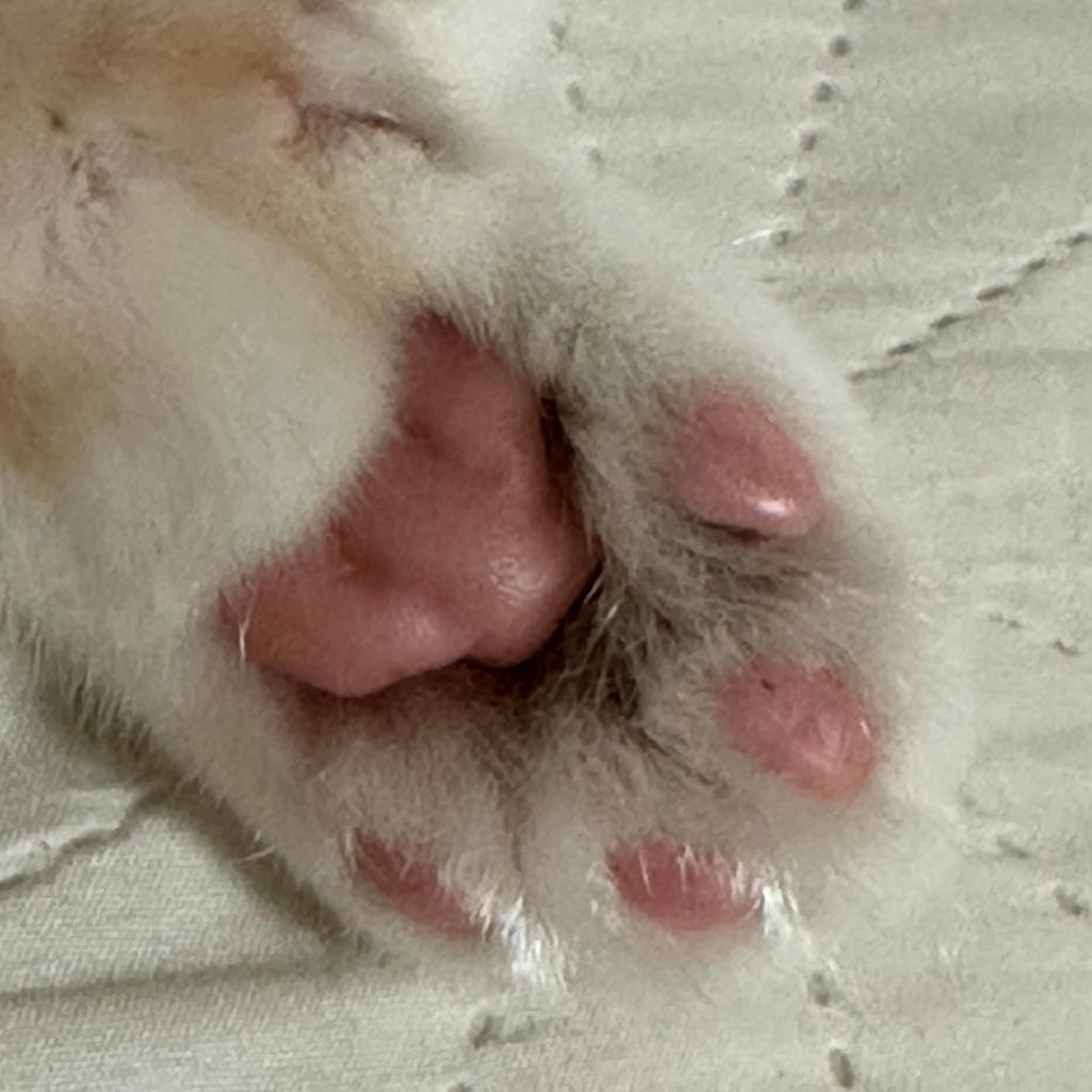 2번 째 사진