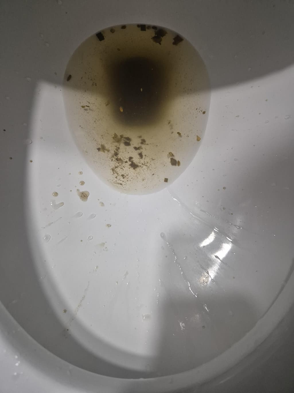 2번 째 사진