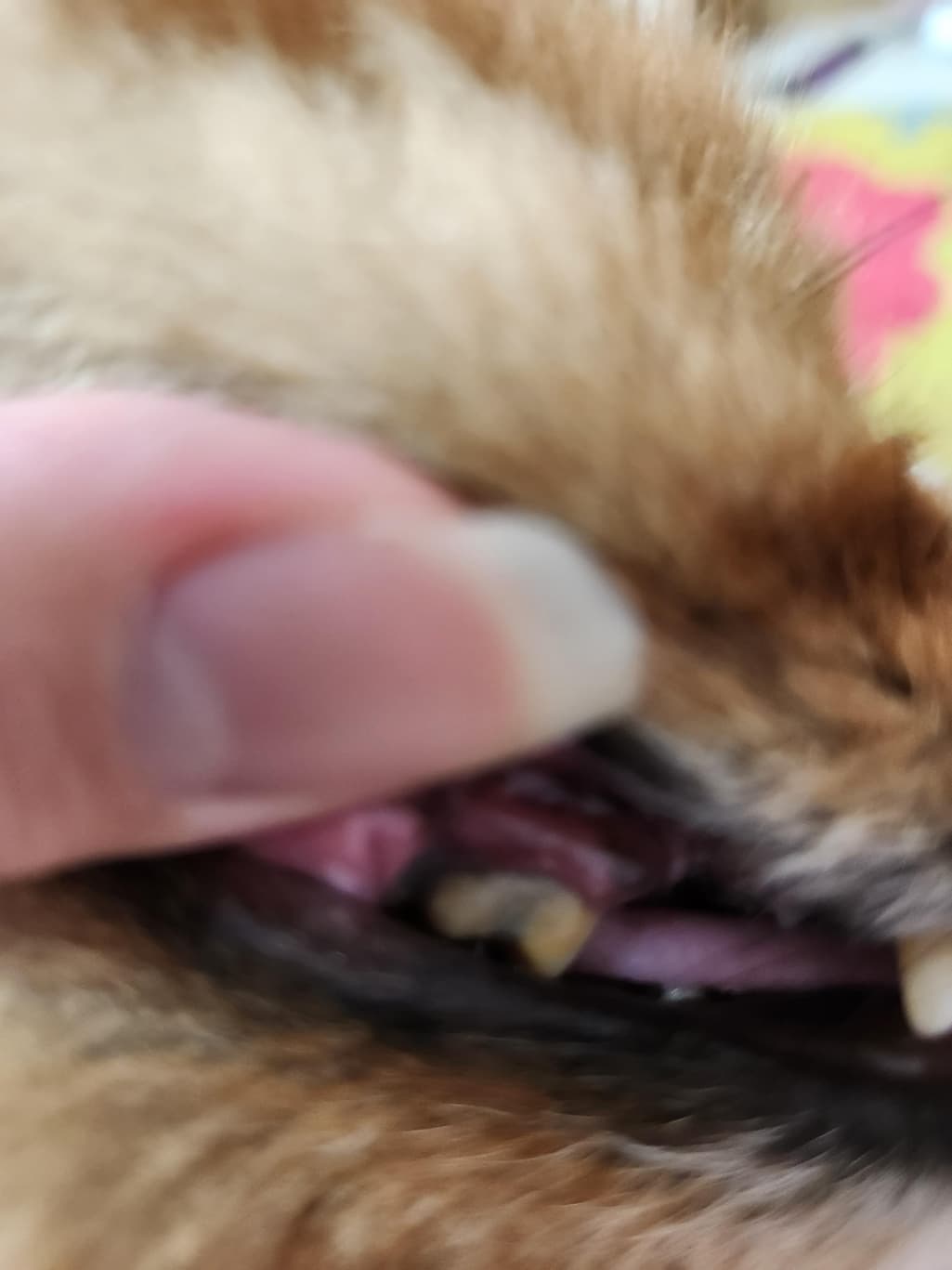 2번 째 사진