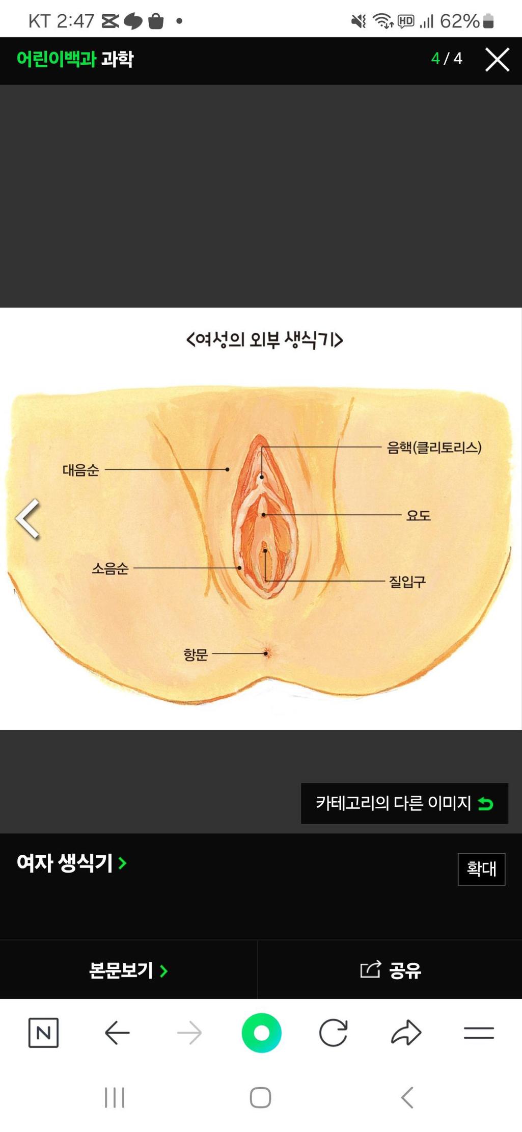 5번 째 사진