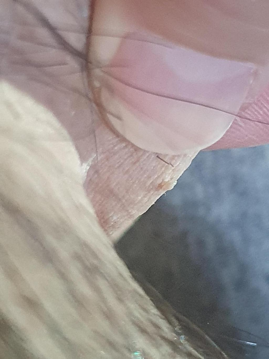 3번 째 사진