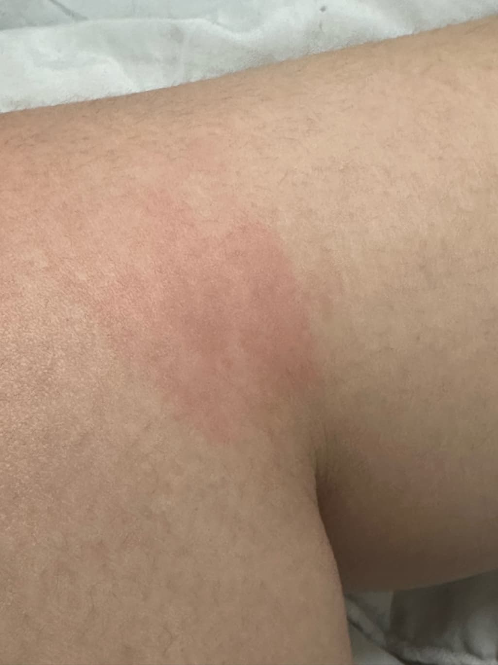 4번 째 사진