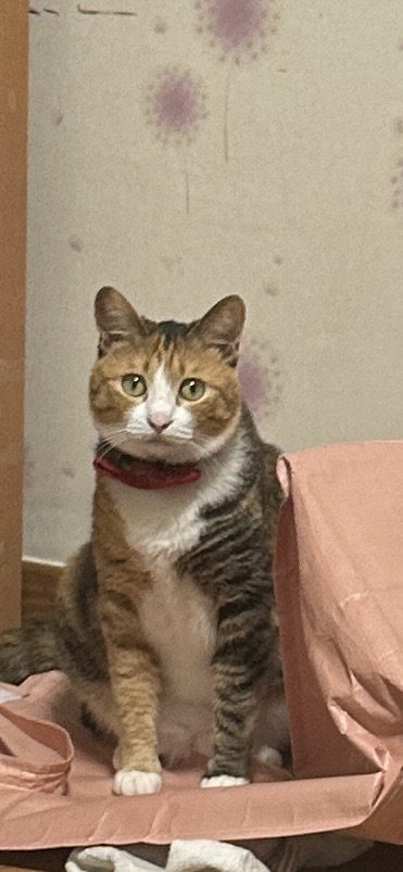 1번 째 사진
