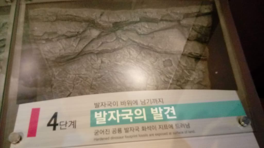 2번 째 사진