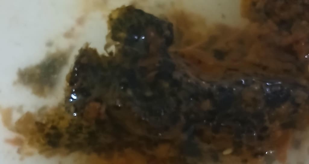 2번 째 사진