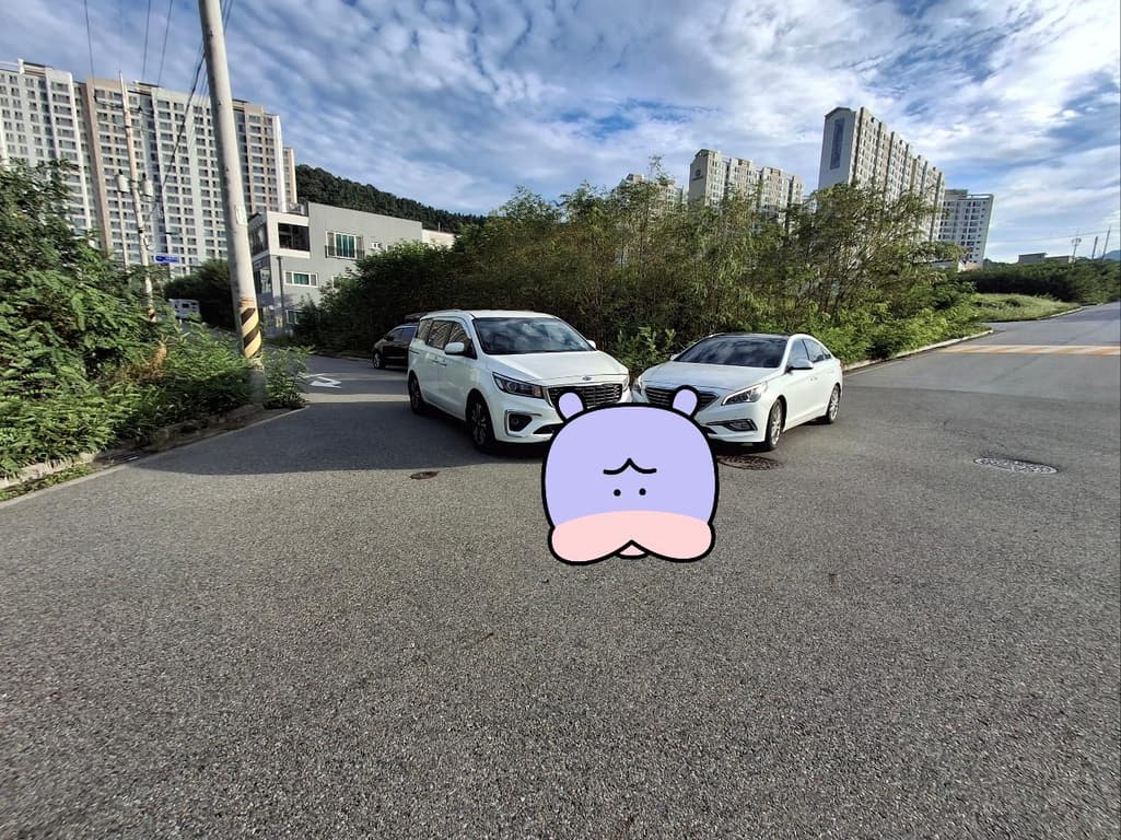 3번 째 사진