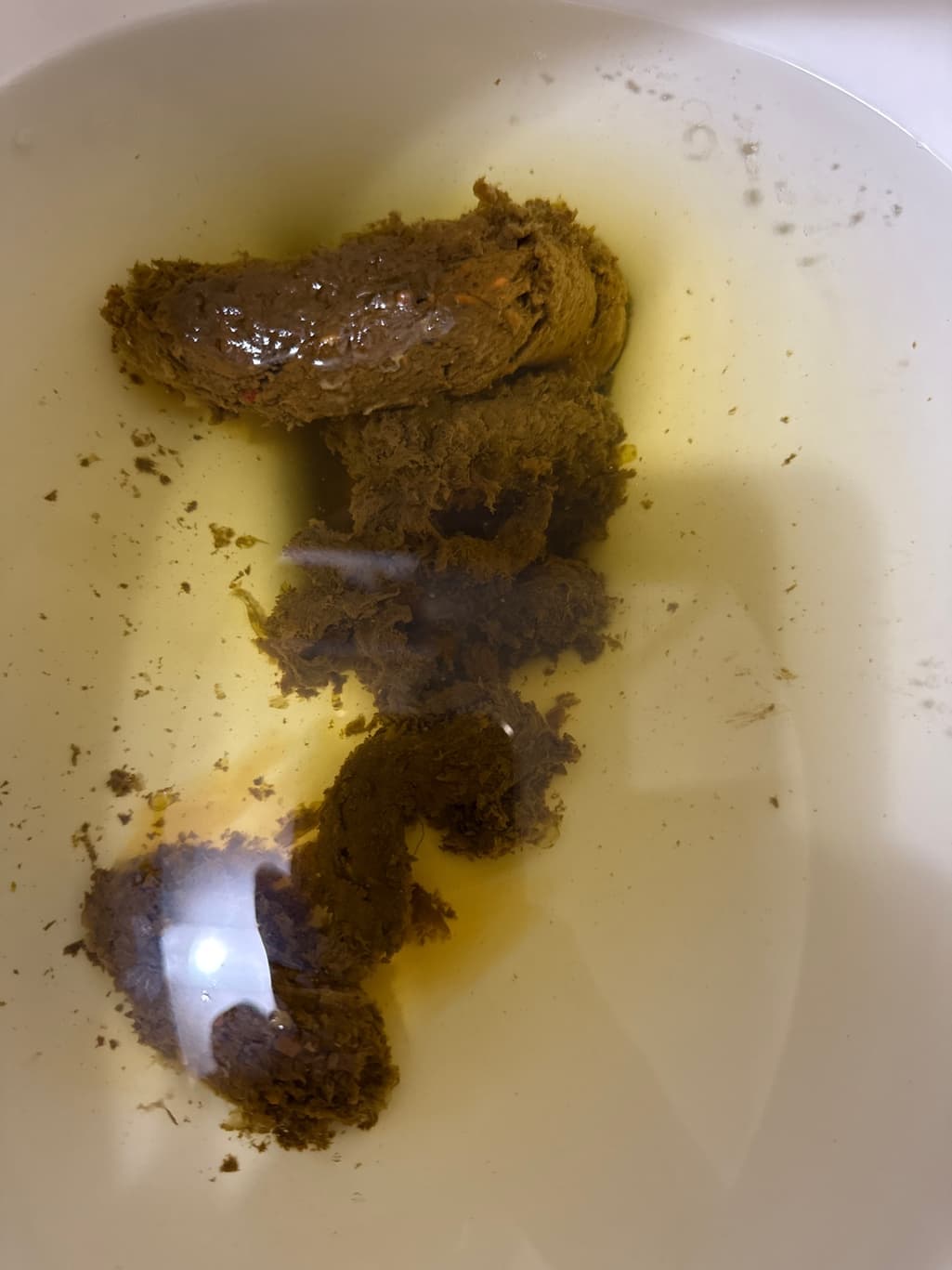 2번 째 사진