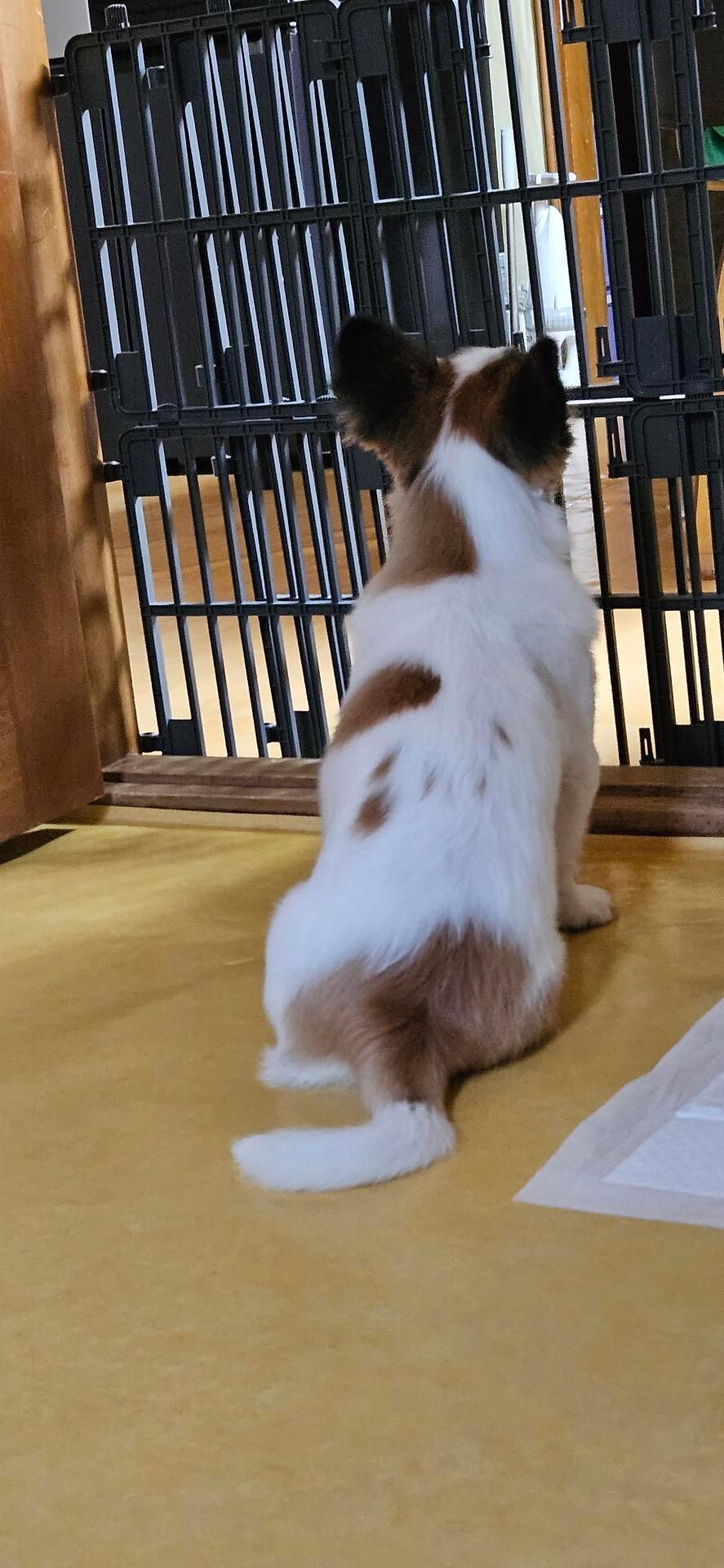 1번 째 사진