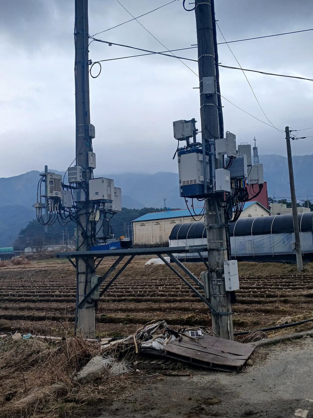2번 째 사진
