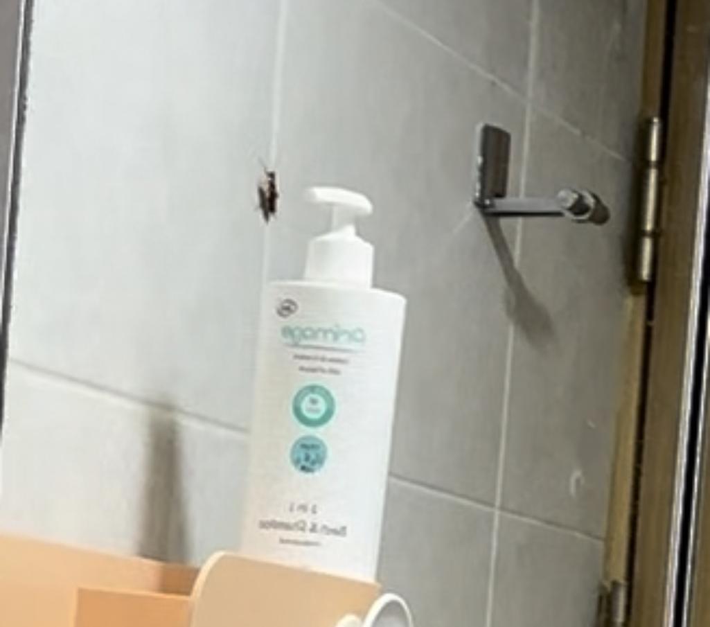 2번 째 사진