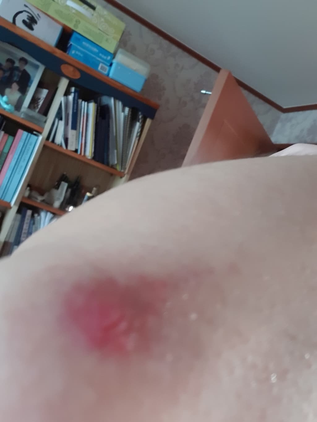 2번 째 사진
