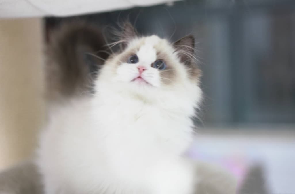 9번 째 사진