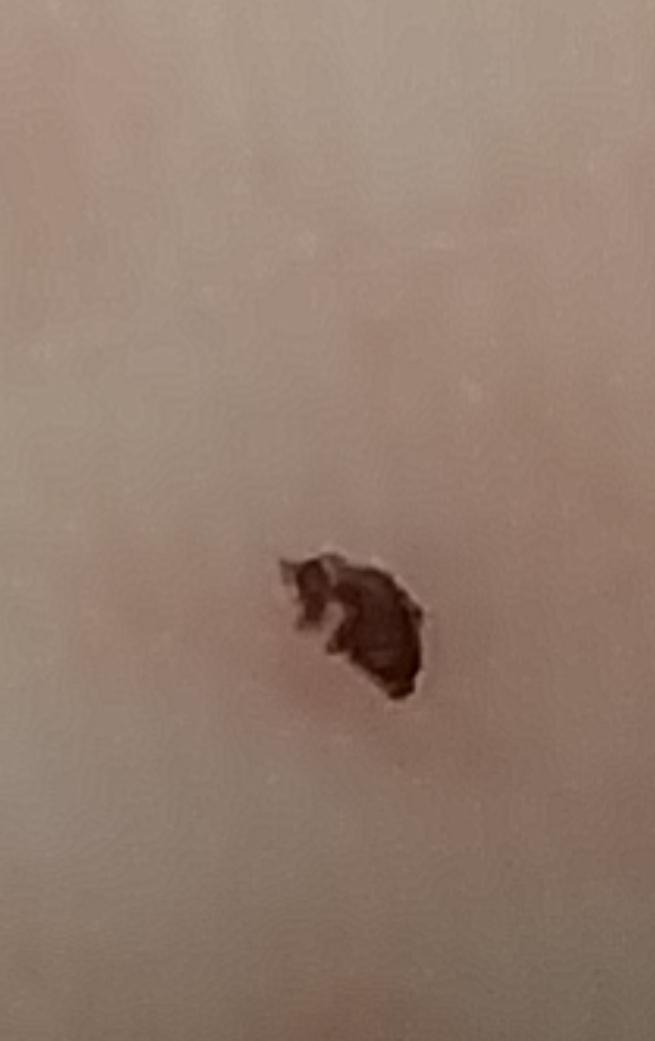 2번 째 사진