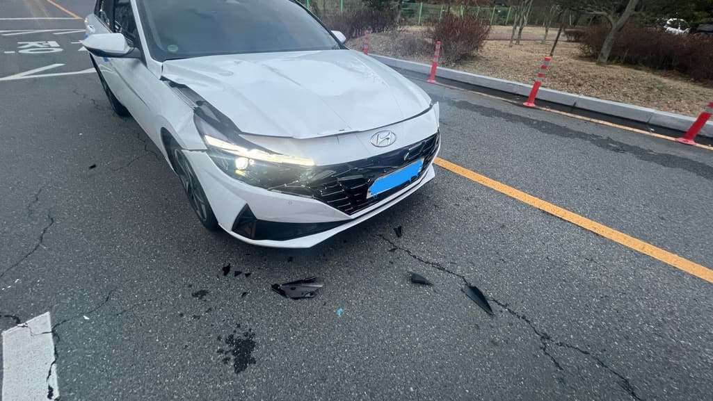 5번 째 사진