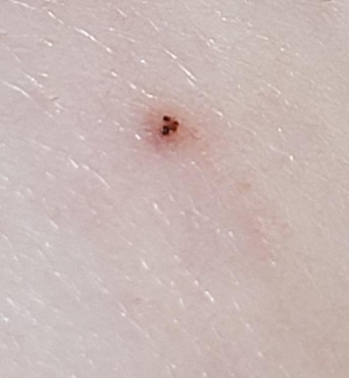 5번 째 사진