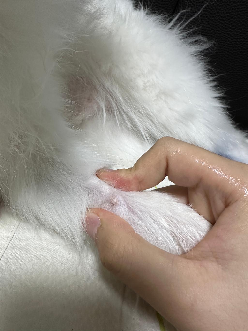 2번 째 사진