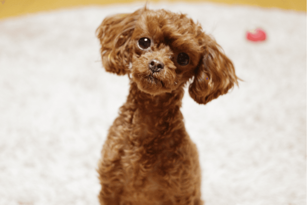 2번 째 사진