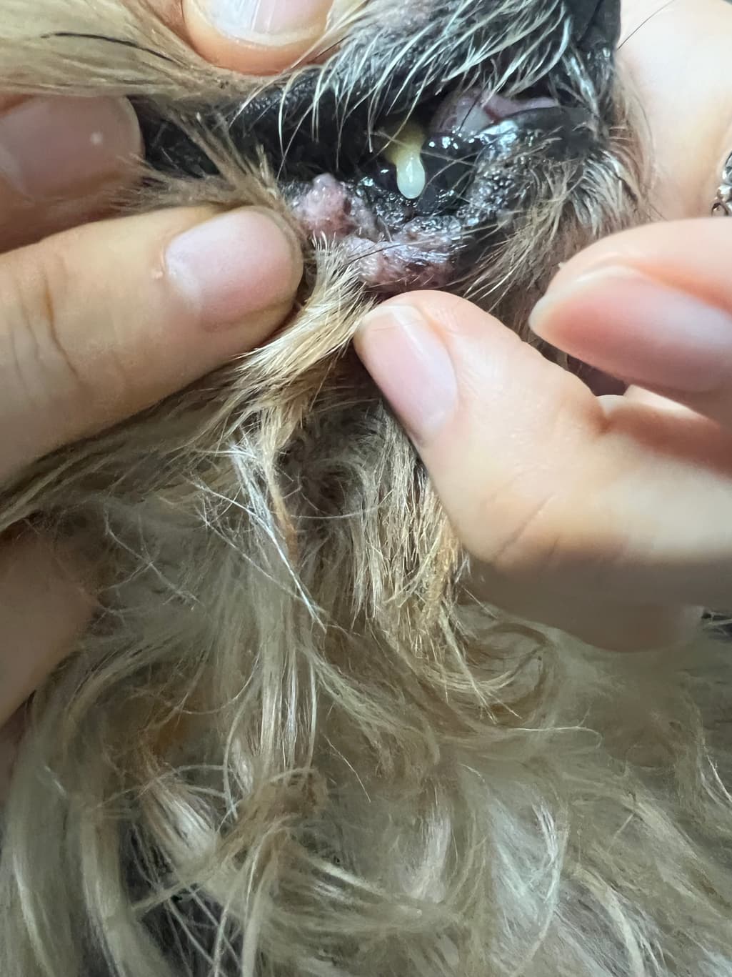 2번 째 사진