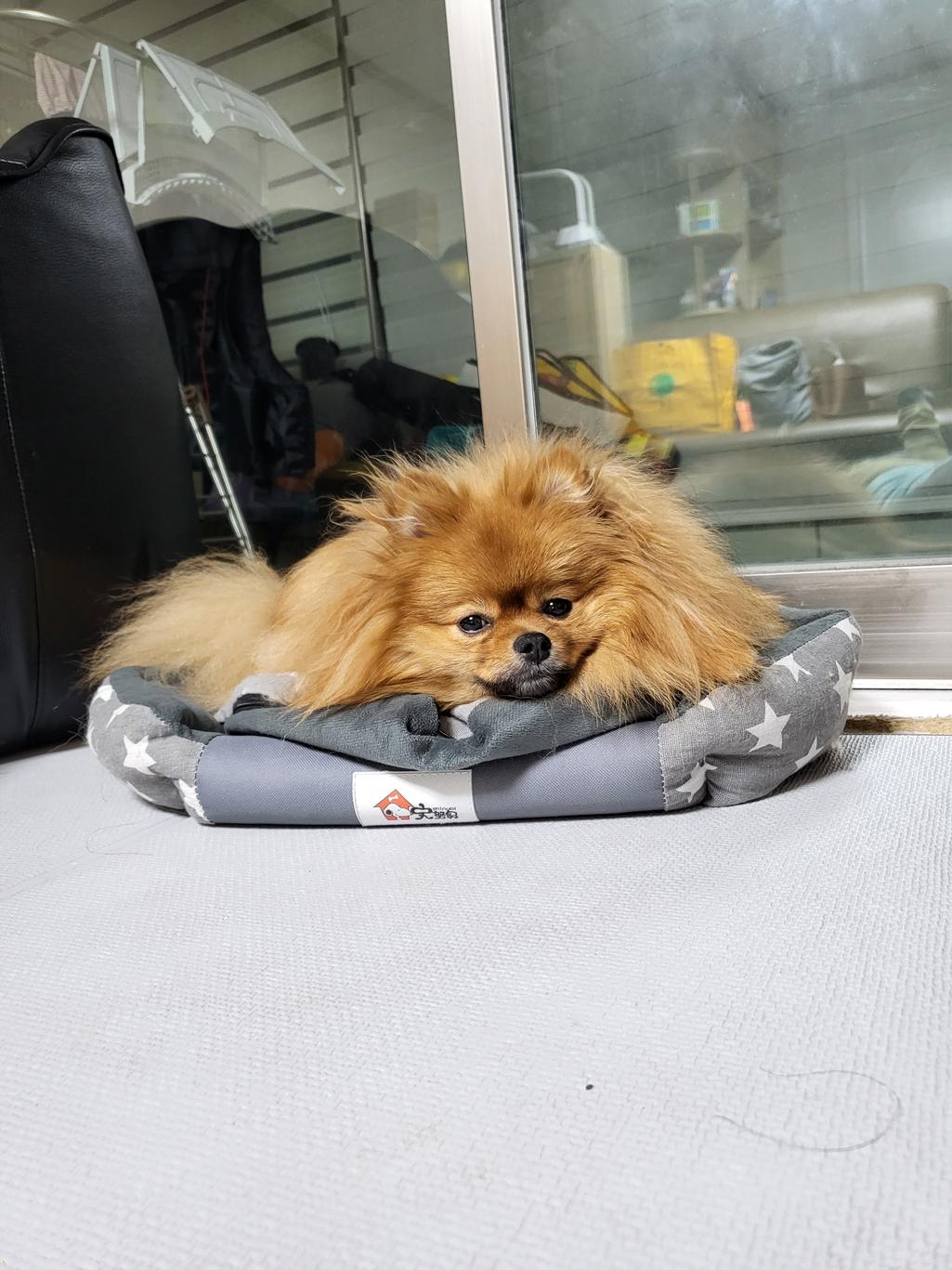2번 째 사진
