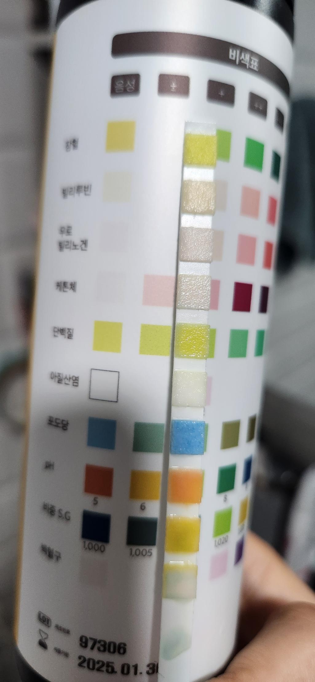 3번 째 사진