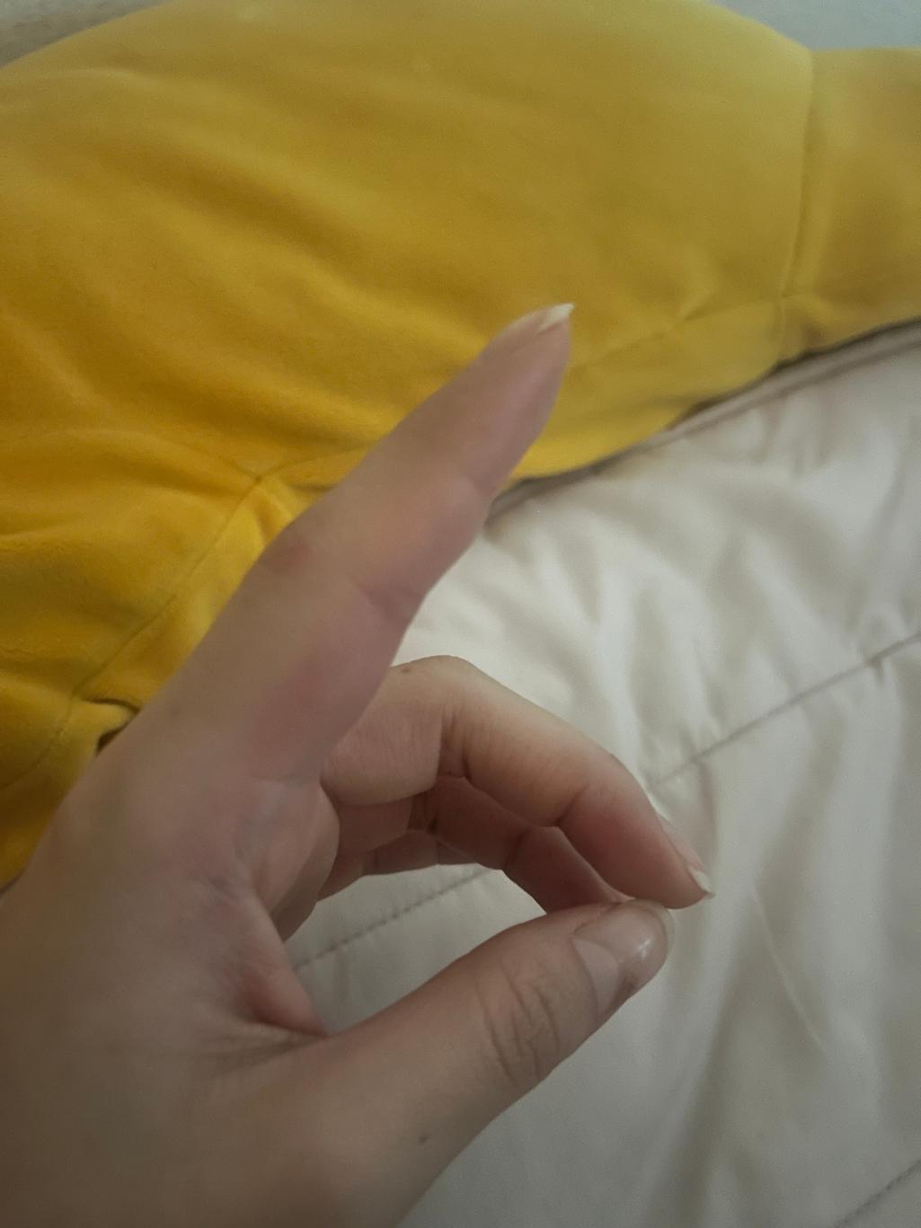 2번 째 사진