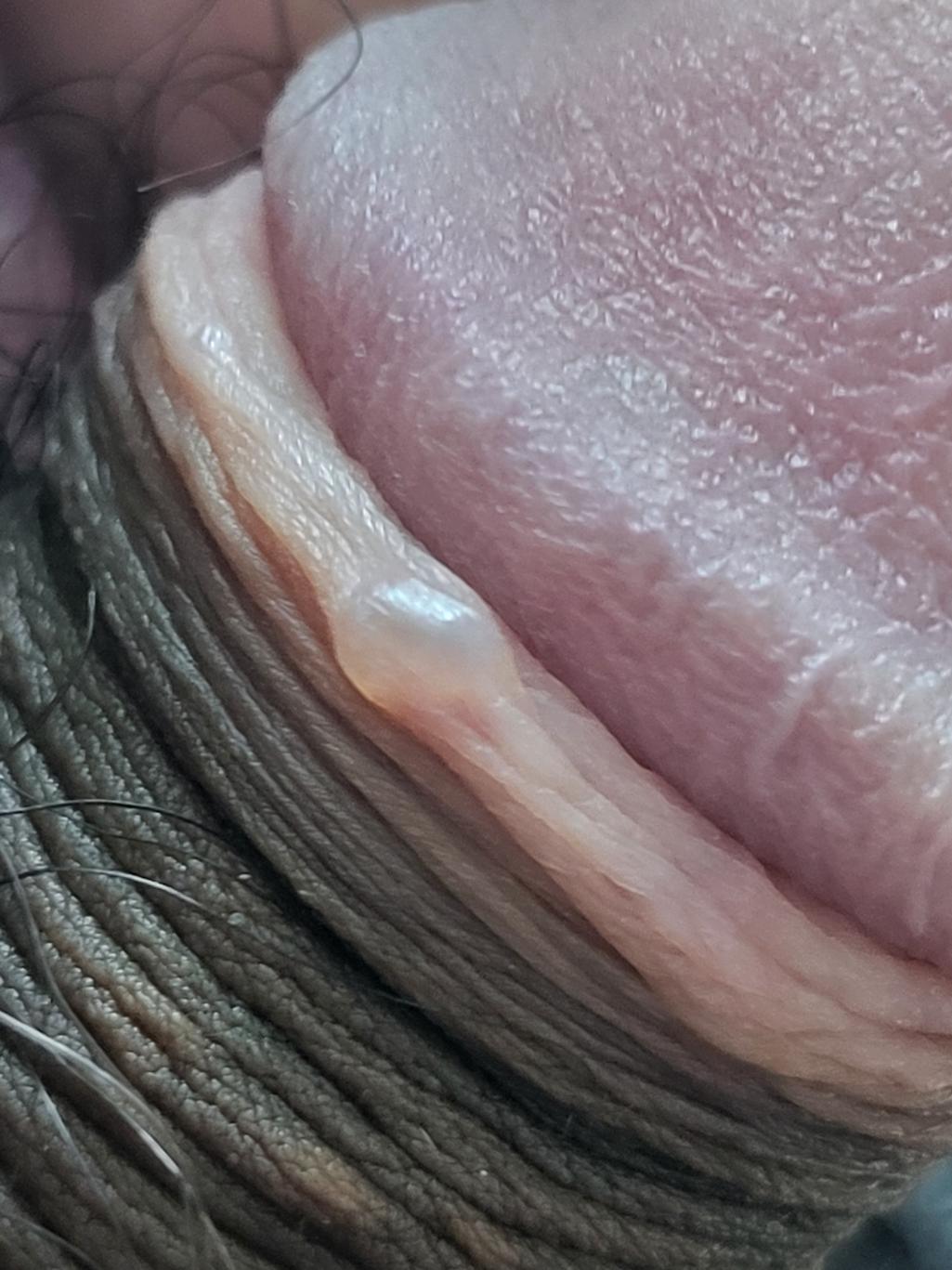 4번 째 사진