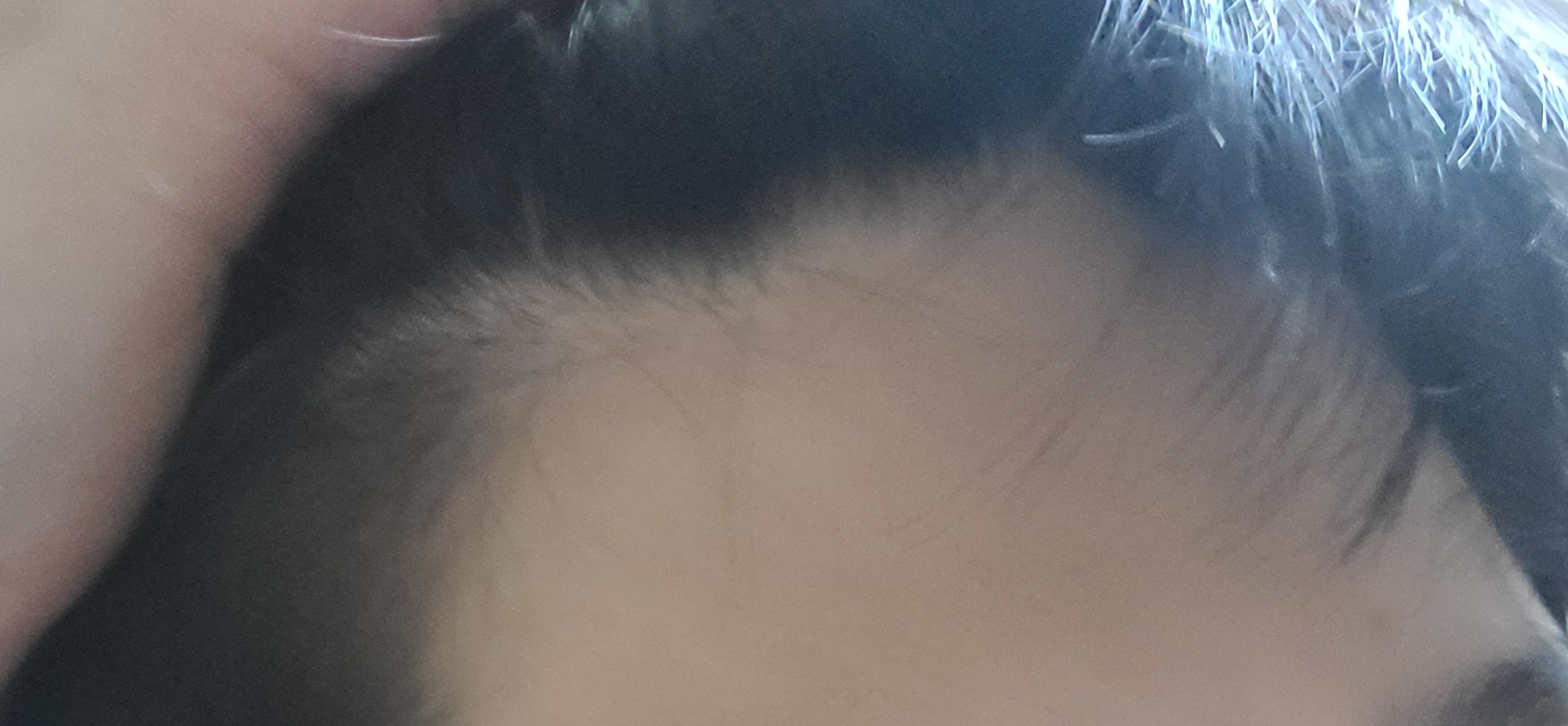 2번 째 사진