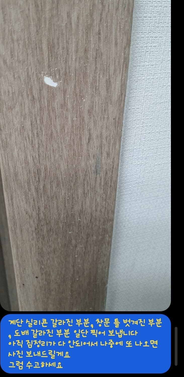 6번 째 사진