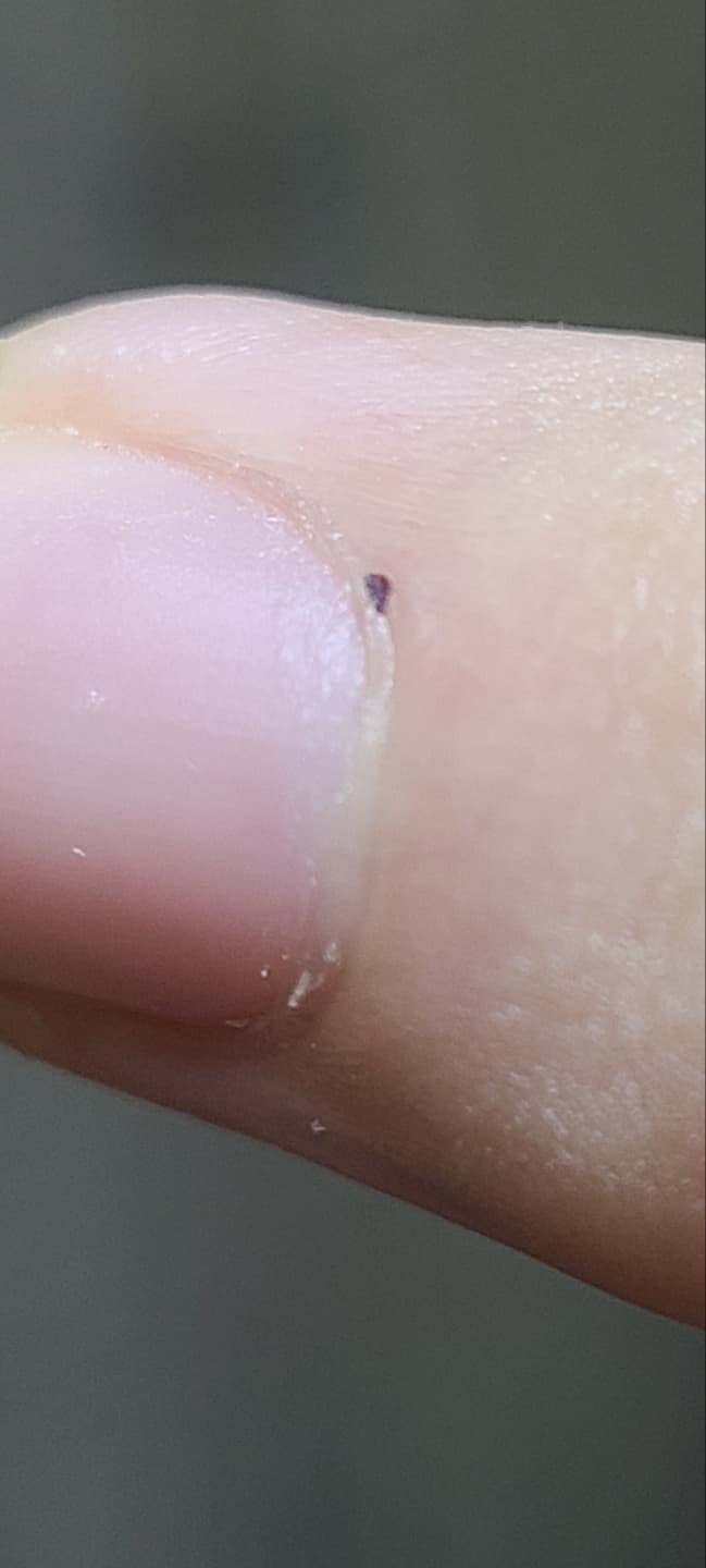 3번 째 사진