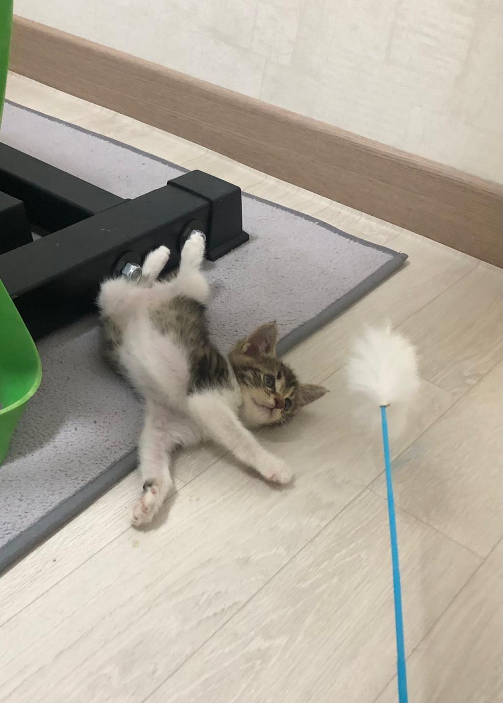 2번 째 사진