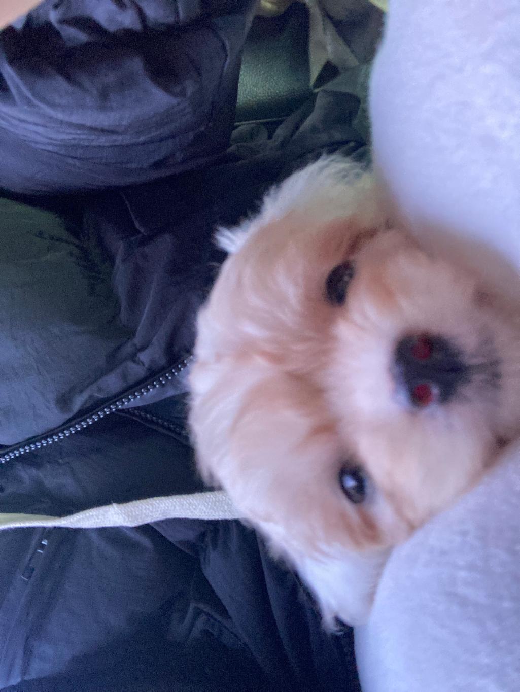 11번 째 사진