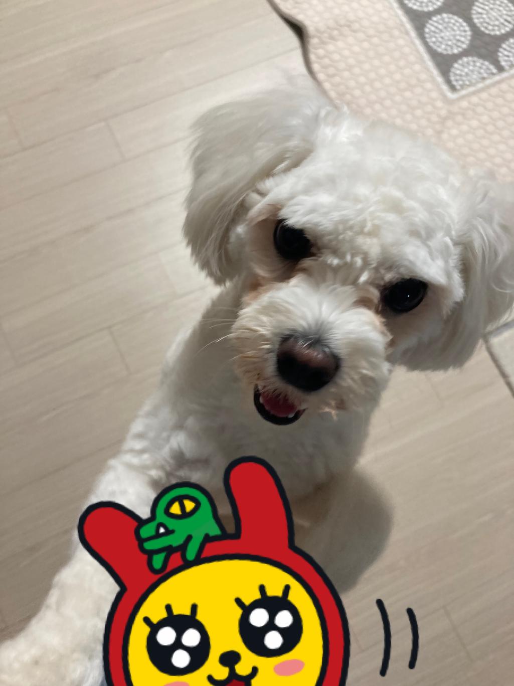 5번 째 사진
