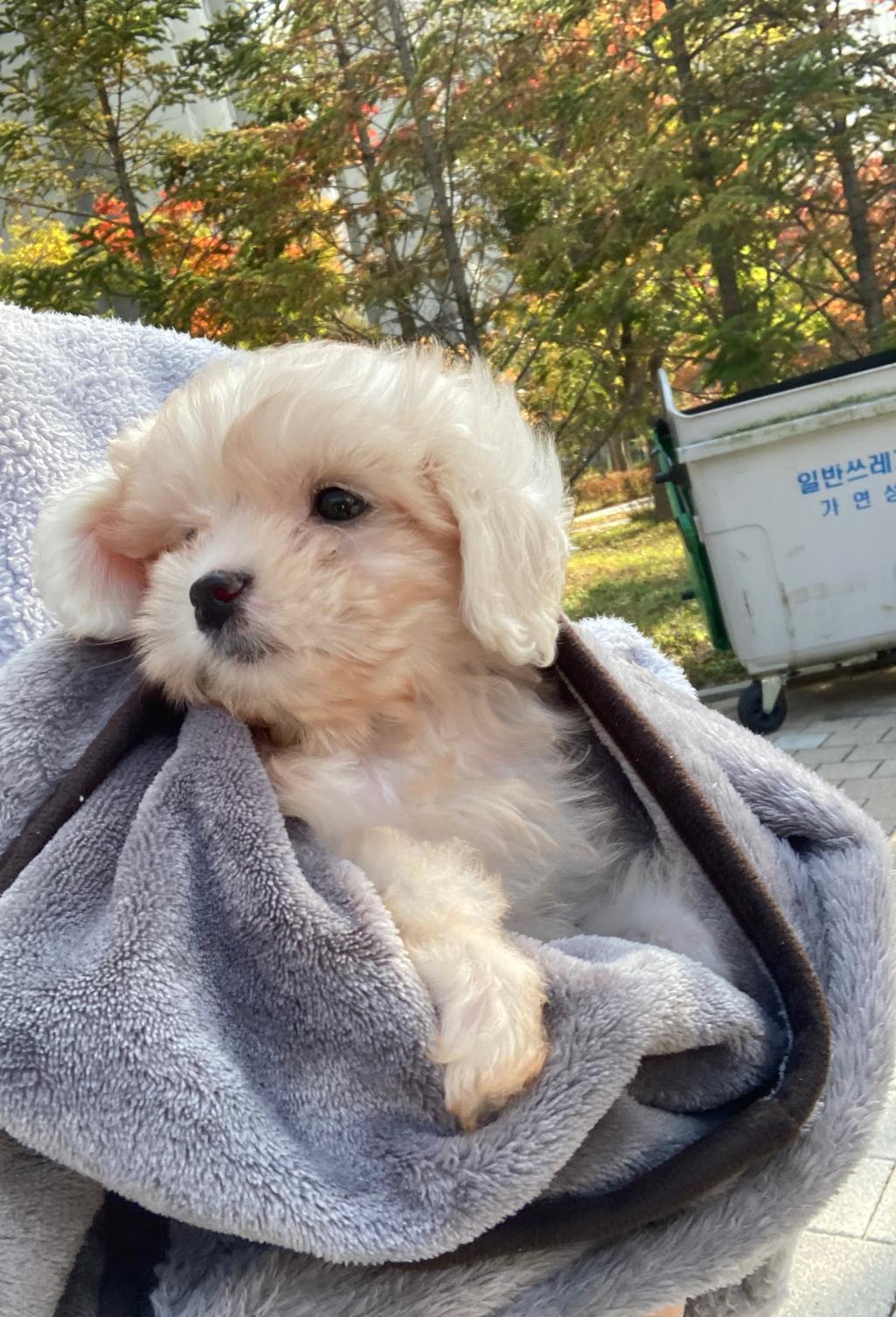 13번 째 사진