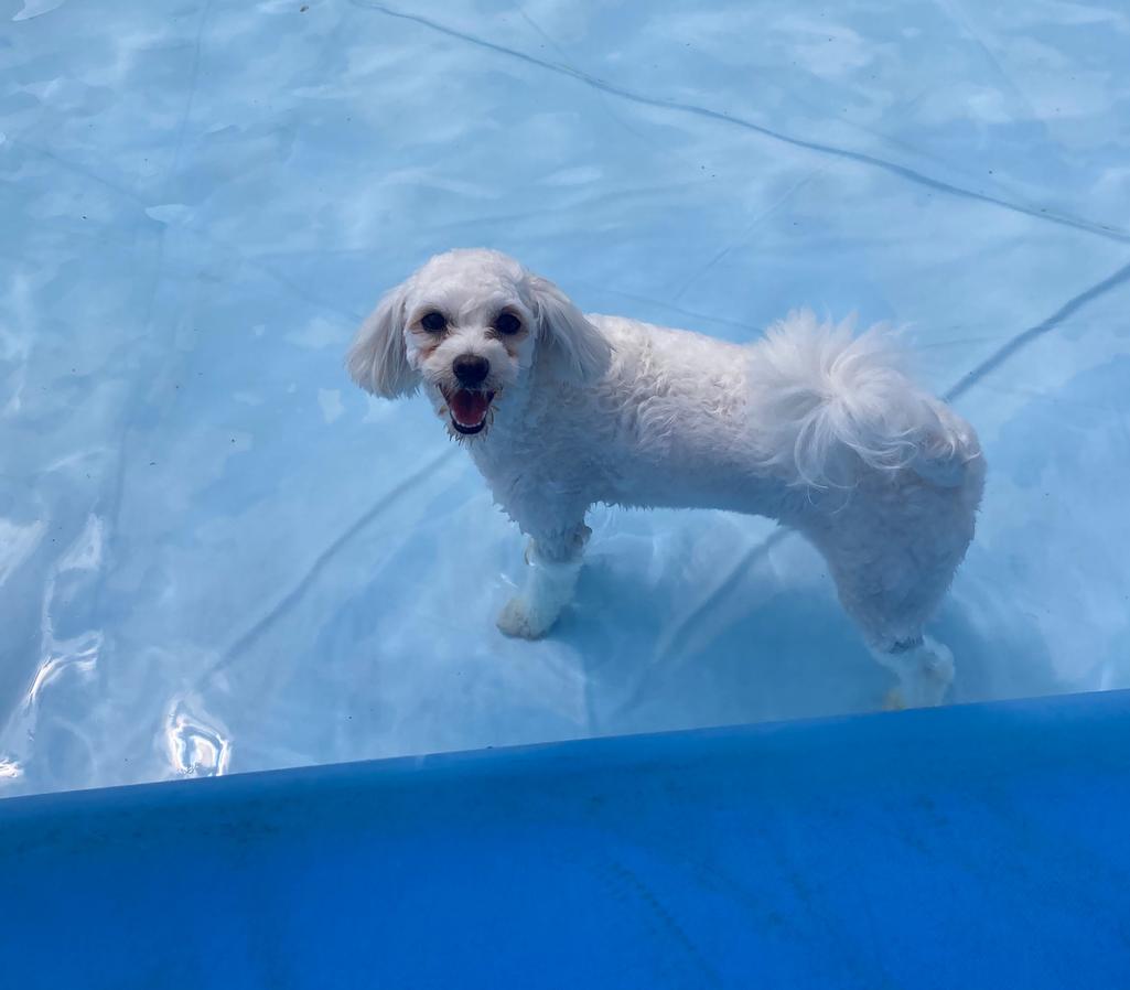 6번 째 사진