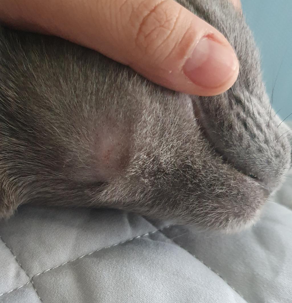 4번 째 사진
