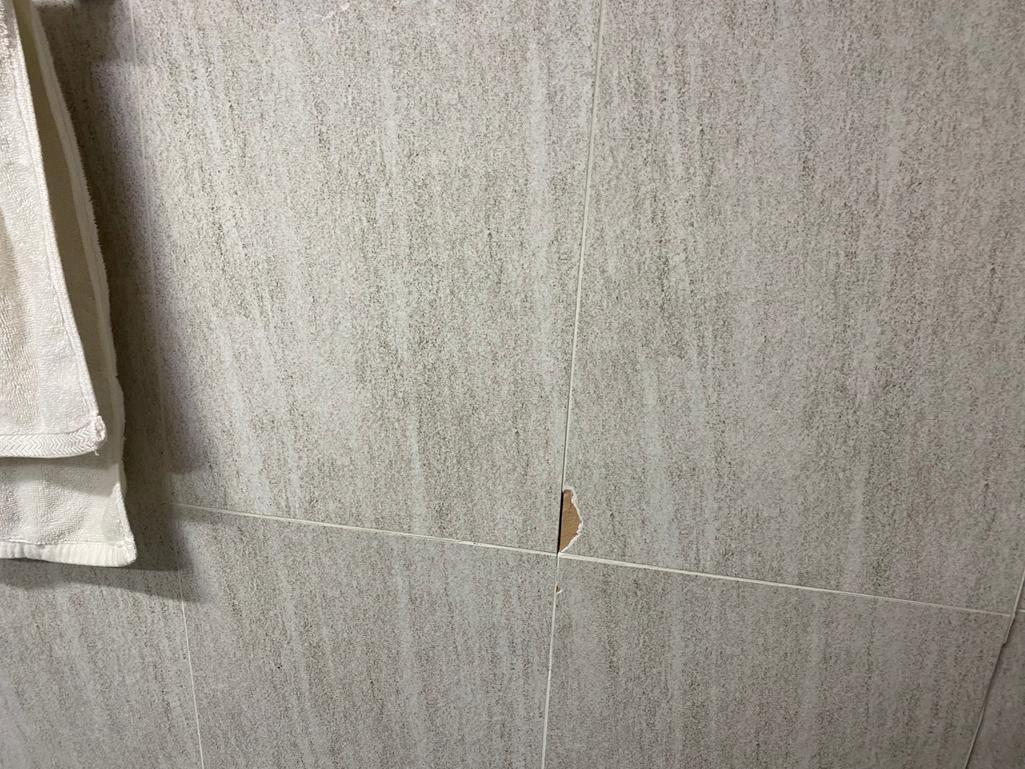 11번 째 사진
