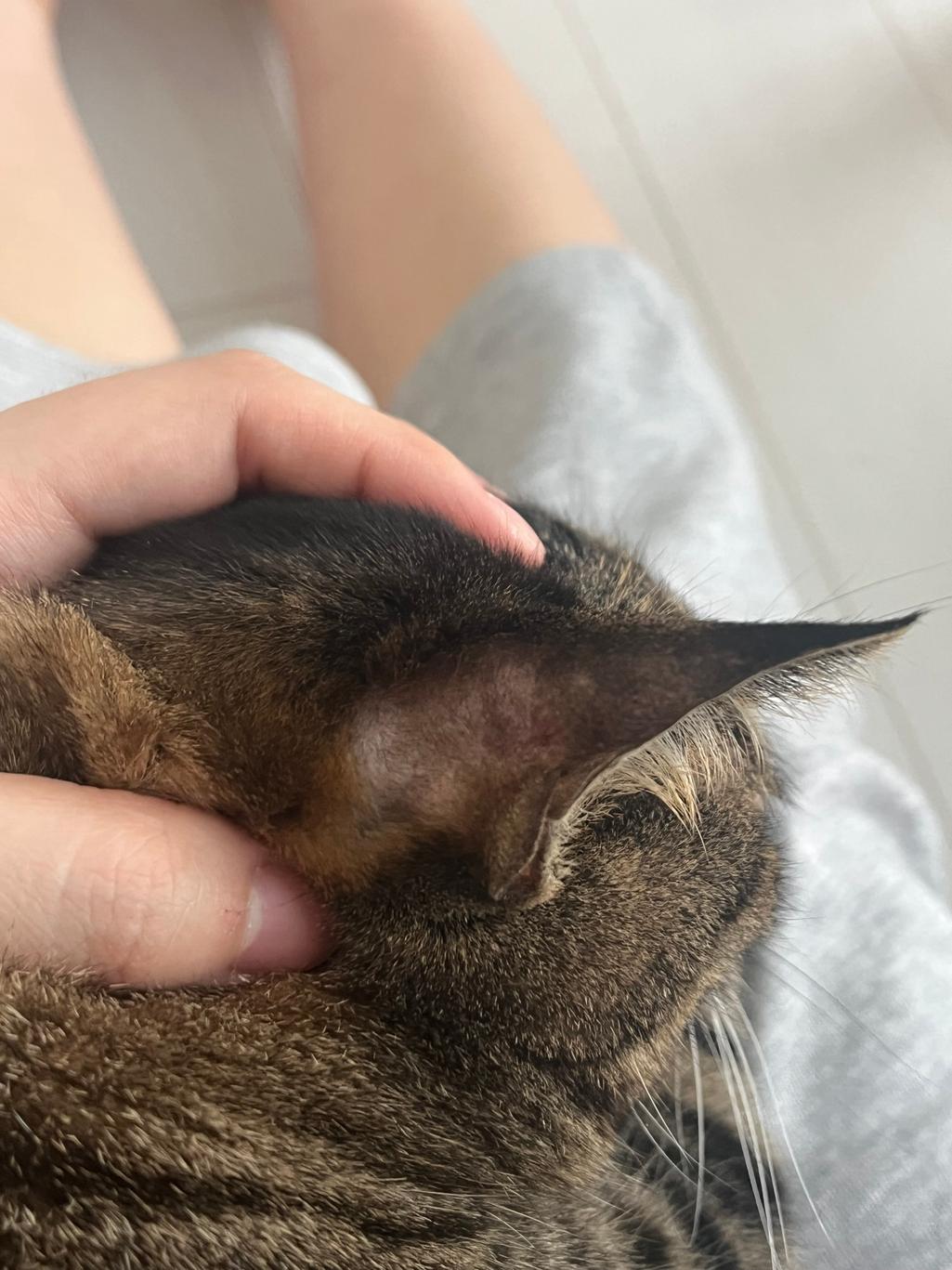 2번 째 사진