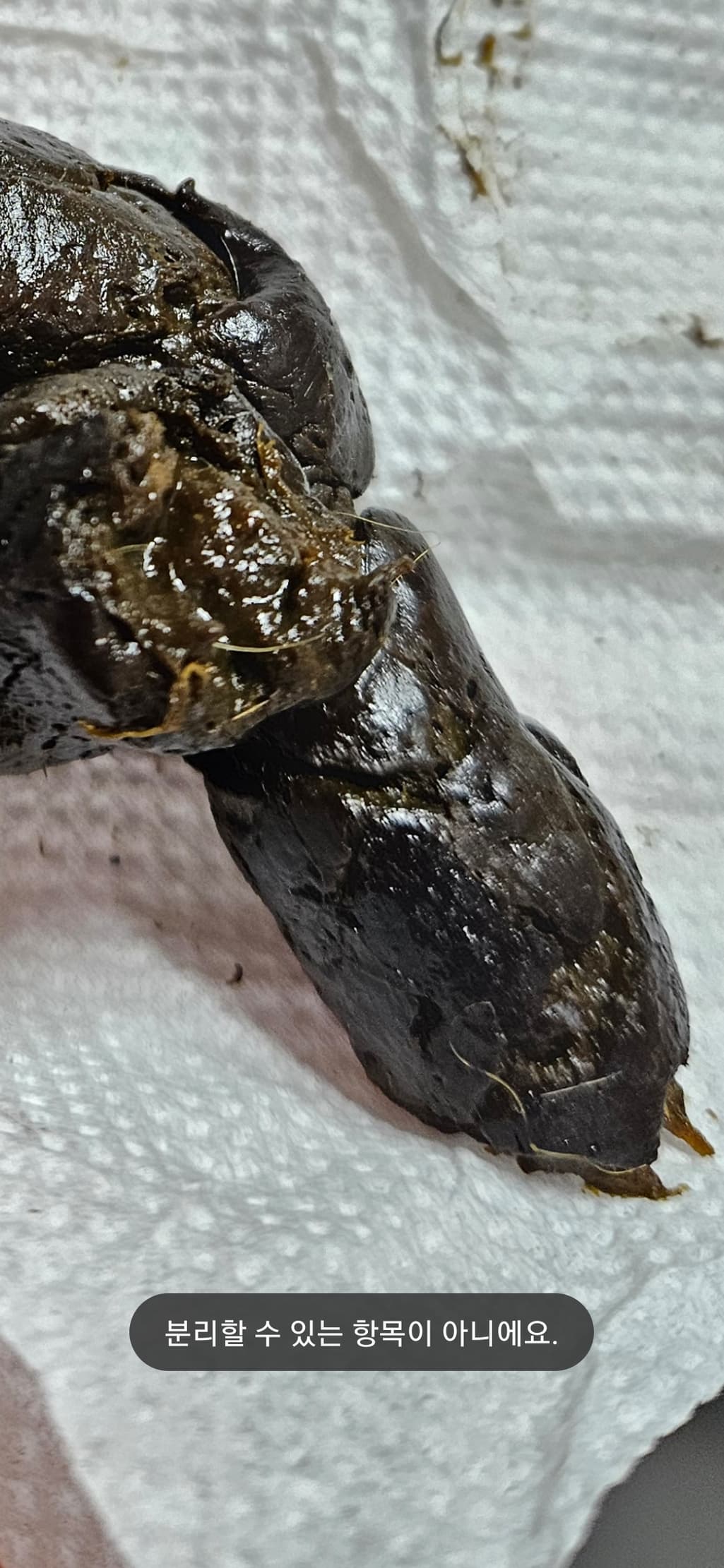 4번 째 사진