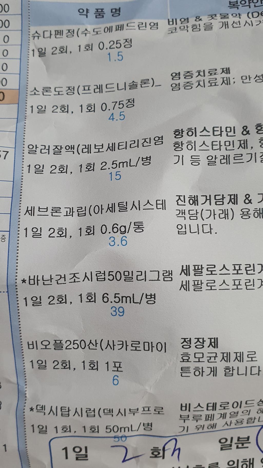 5번 째 사진